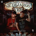 Ozuna Ft. Juanka El Problematik - Se Dejaron Ver